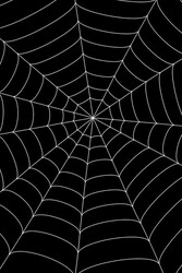 Parti Dünyası - Halloween Beyaz Örümcek Ağı 3,6 metre çapında