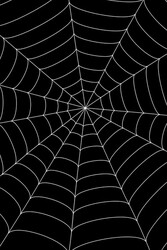 Halloween Beyaz Örümcek Ağı 1,5 metre çapında - 1
