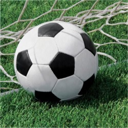 Parti Dünyası - Futbol Topu Büyük Boy 16 lı Peçete