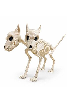 Köpek İskelet Çift Başlı Vlad 40 cm - 1