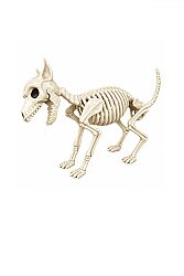 Köpek İskelet Joe 40 cm