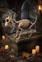 Köpek İskelet Joe 40 cm