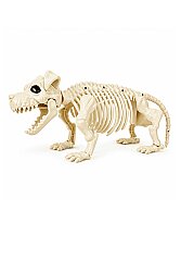 Köpek İskelet Triple 40 cm