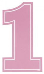 Pembe 1 Rakamları 10 Adet - 2