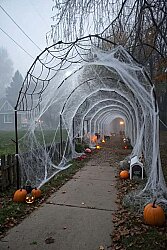 Parti Dünyası Halloween Örümcek Ağ Beyaz