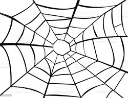 Parti Dünyası - Halloween Siyah Örümcek Ağı 3,6 metre çapında