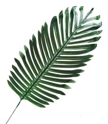 Palmiye Yaprak 44 Cm Partidunyasi Com